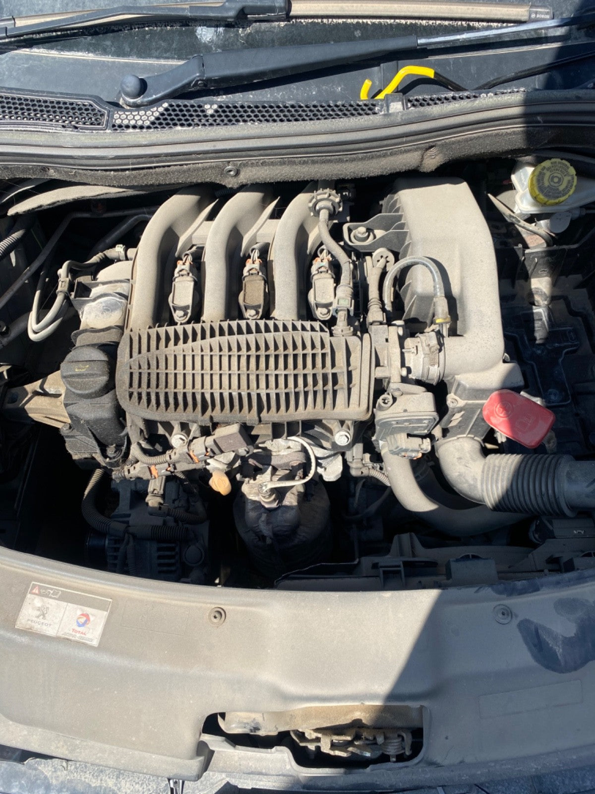 49770305