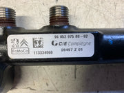 PEUGEOT 308 1.6 HDI DIESEL INJECTOR RAIL AND INJECTORS 9685297580 02 2010 20151