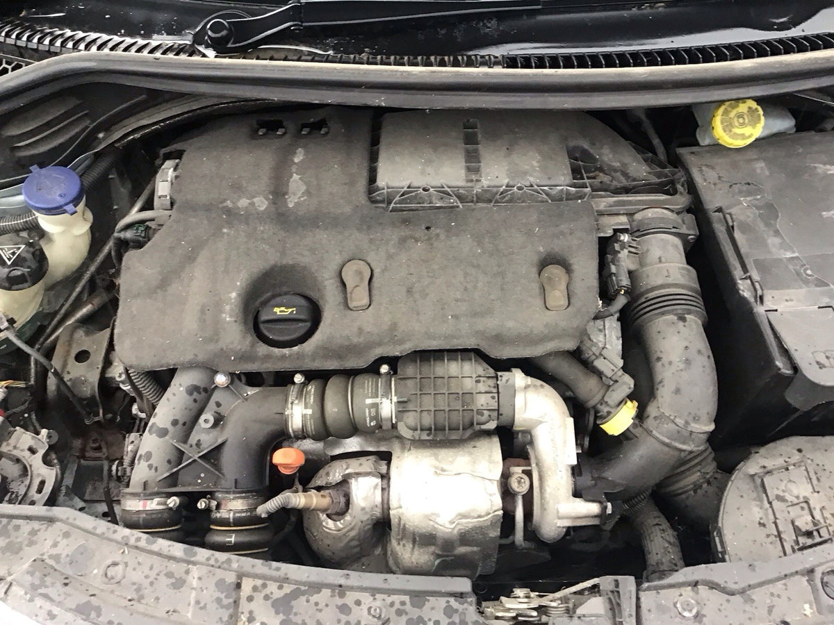 49772553