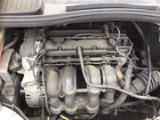 49775635